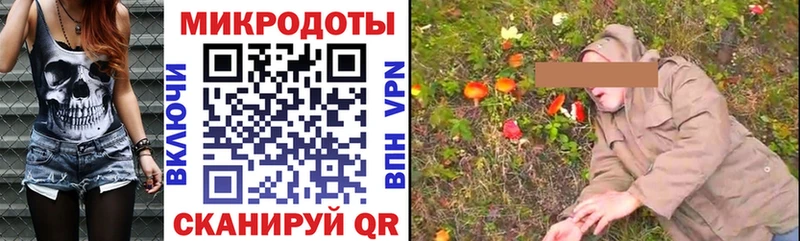 Галлюциногенные грибы Cubensis мега Чадан